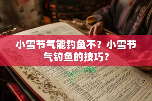 小雪节气能钓鱼不？小雪节气钓鱼的技巧？