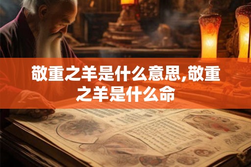 敬重之羊是什么意思,敬重之羊是什么命