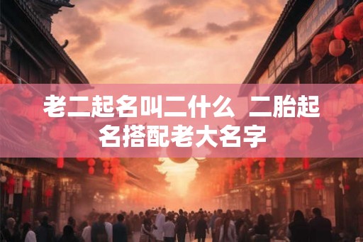 老二起名叫二什么  二胎起名搭配老大名字