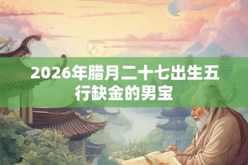 2026年腊月二十七出生五行缺金的男宝