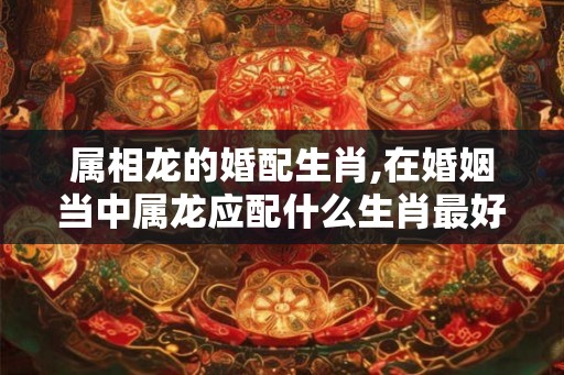 属相龙的婚配生肖,在婚姻当中属龙应配什么生肖最好