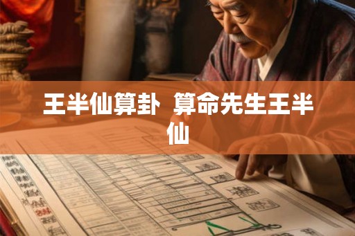 王半仙算卦  算命先生王半仙