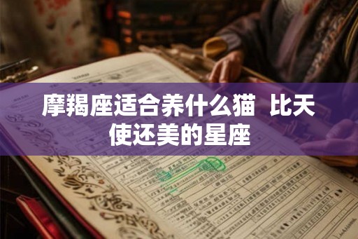 摩羯座适合养什么猫 比天使还美的星座 摩羯座适合养什么猫 比天使还美的星座