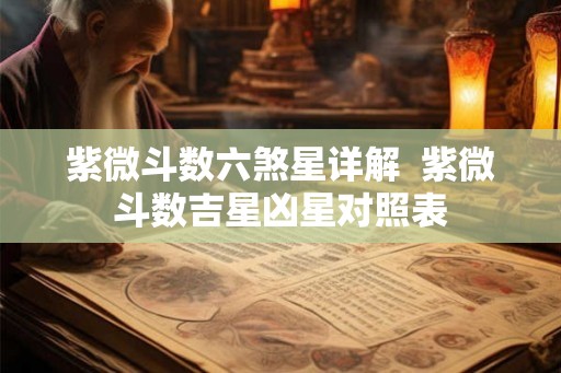 紫微斗数六煞星详解  紫微斗数吉星凶星对照表