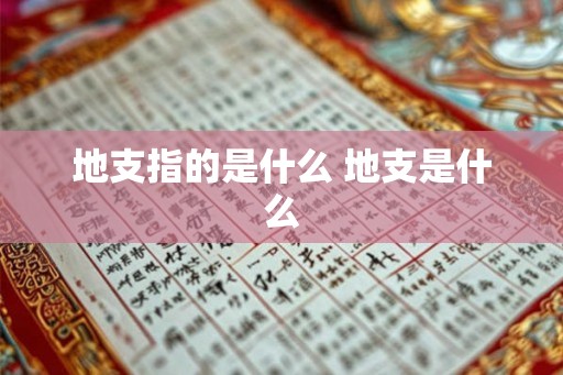 地支指的是什么 地支是什么