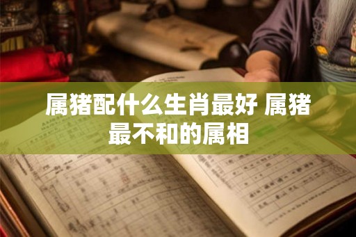 属猪配什么生肖最好 属猪最不和的属相