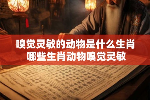 嗅觉灵敏的动物是什么生肖 哪些生肖动物嗅觉灵敏
