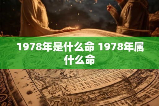 1978年是什么命 1978年属什么命