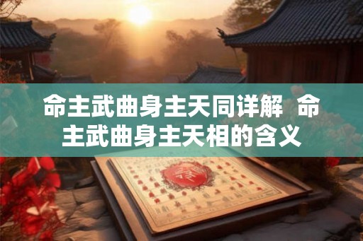 命主武曲身主天同详解  命主武曲身主天相的含义