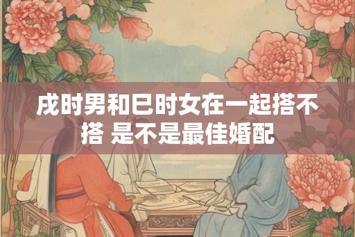 戌时男和巳时女在一起搭不搭 是不是最佳婚配