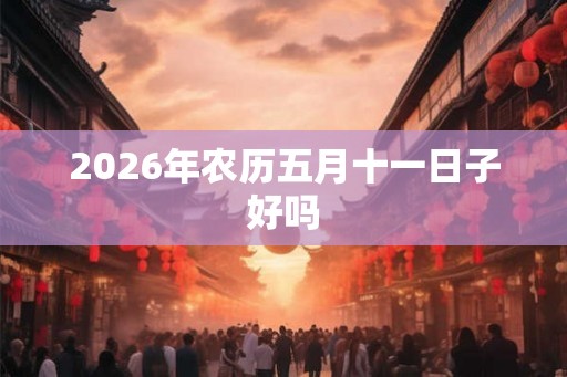 2026年农历五月十一日子好吗