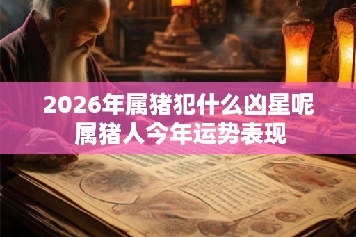 2026年属猪犯什么凶星呢 属猪人今年运势表现