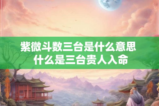 紫微斗数三台是什么意思  什么是三台贵人入命