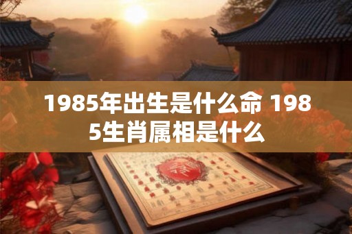 1985年出生是什么命 1985生肖属相是什么 1985年出生是什么命 1985生肖属相是什么