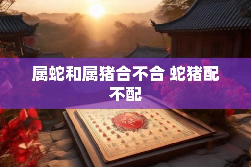 属蛇和属猪合不合 蛇猪配不配