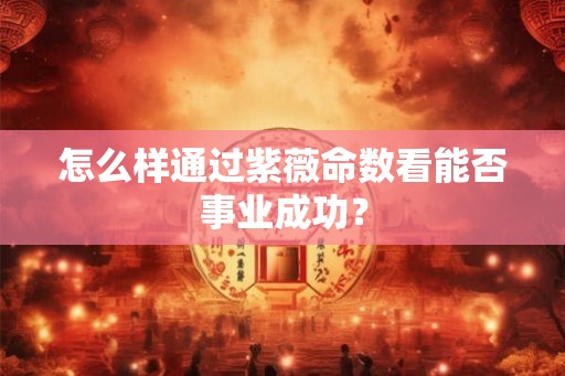 怎么样通过紫薇命数看能否事业成功? 怎么样通过紫薇命数看能否事业成功?