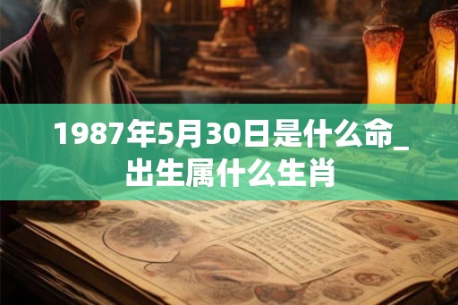 1987年5月30日是什么命_出生属什么生肖