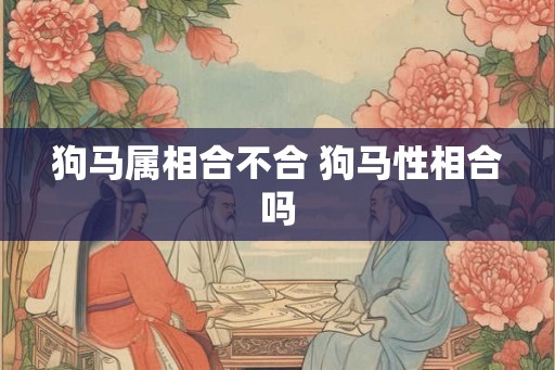 狗马属相合不合 狗马性相合吗 狗马属相合不合 狗马性相合吗