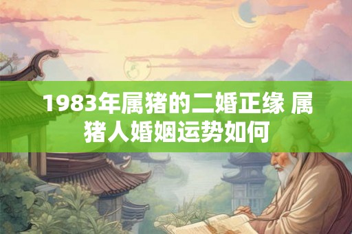 1983年属猪的二婚正缘 属猪人婚姻运势如何 1983年属猪的二婚正缘 属猪人婚姻运势如何