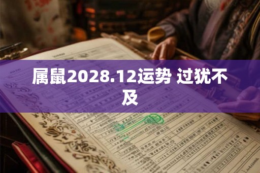 属鼠2028.12运势 过犹不及