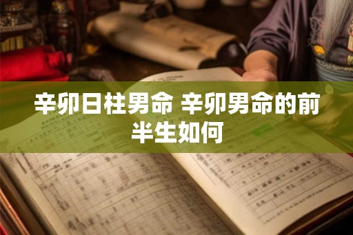 辛卯日柱男命 辛卯男命的前半生如何