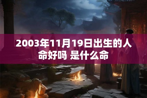 2003年11月19日出生的人命好吗 是什么命