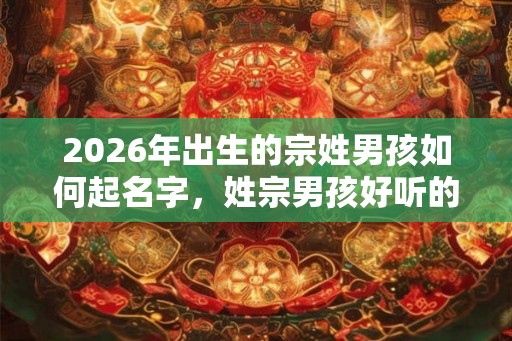2026年出生的宗姓男孩如何起名字，姓宗男孩好听的名字