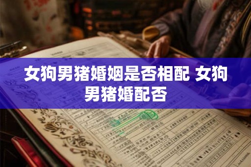 女狗男猪婚姻是否相配 女狗男猪婚配否