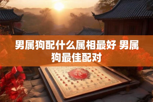 男属狗配什么属相最好 男属狗最佳配对