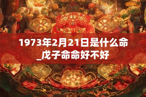 1973年2月21日是什么命_戊子命命好不好