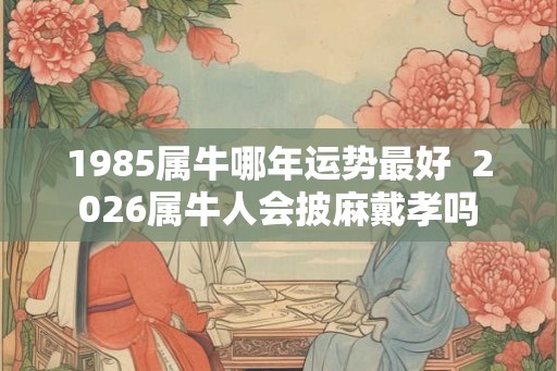 1985属牛哪年运势最好  2026属牛人会披麻戴孝吗