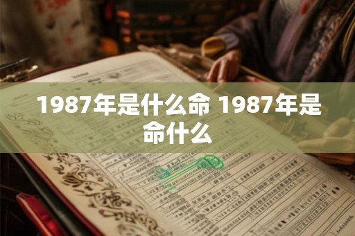 1987年是什么命 1987年是命什么