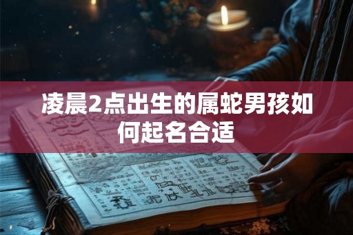 凌晨2点出生的属蛇男孩如何起名合适