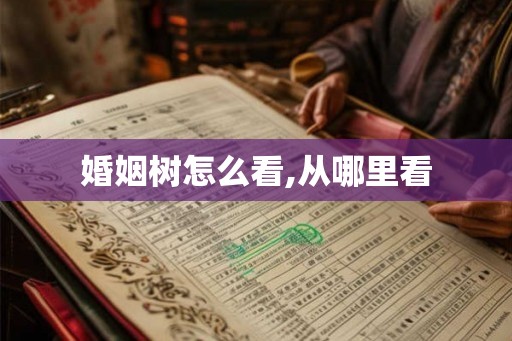 婚姻树怎么看,从哪里看