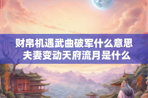 财帛机遇武曲破军什么意思  夫妻变动天府流月是什么意思