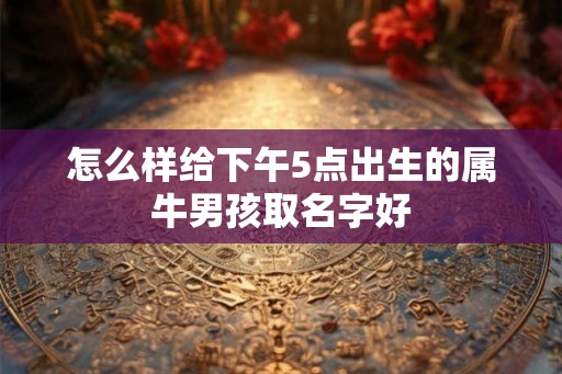 怎么样给下午5点出生的属牛男孩取名字好