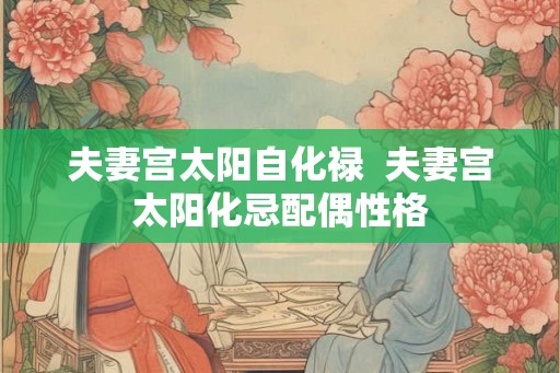夫妻宫太阳自化禄  夫妻宫太阳化忌配偶性格