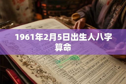 1961年2月5日出生人八字算命