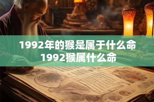 1992年的猴是属于什么命 1992猴属什么命 1992年的猴是属于什么命 1992猴属什么命