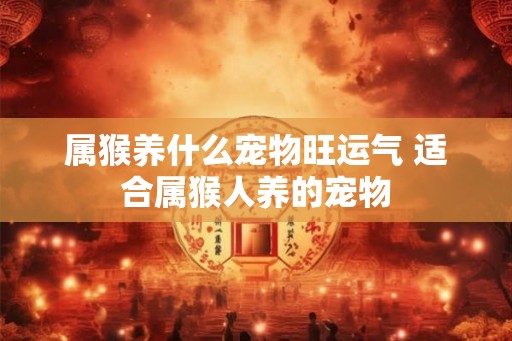 属猴养什么宠物旺运气 适合属猴人养的宠物