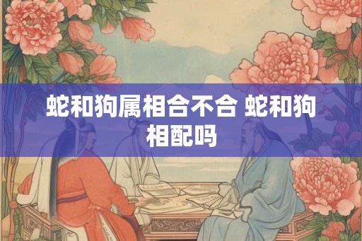 蛇和狗属相合不合 蛇和狗相配吗 蛇和狗属相合不合 蛇和狗相配吗