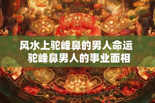 风水上驼峰鼻的男人命运  驼峰鼻男人的事业面相