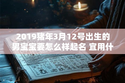 2019猪年3月12号出生的男宝宝要怎么样起名 宜用什么字 2019猪年3月12号出生的男宝宝要怎么样起名 宜用什么字