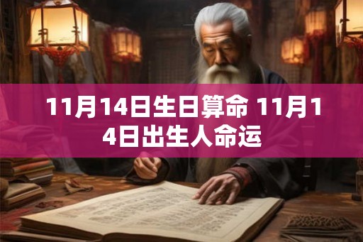 11月14日生日算命 11月14日出生人命运