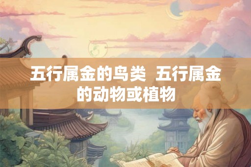 五行属金的鸟类 五行属金的动物或植物 五行属金的鸟类 五行属金的动物或植物