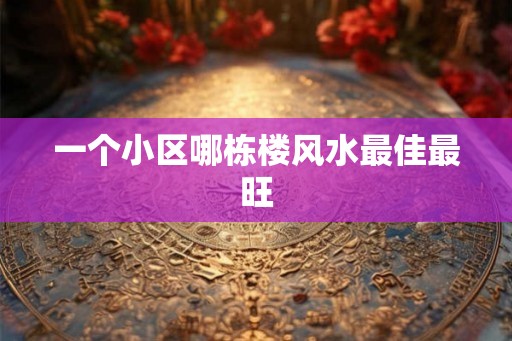 一个小区哪栋楼风水最佳最旺