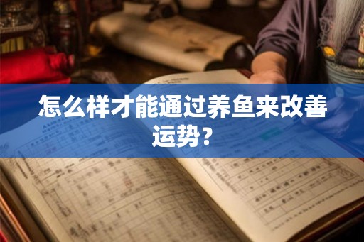 怎么样才能通过养鱼来改善运势？