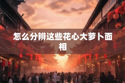 怎么分辨这些花心大萝卜面相