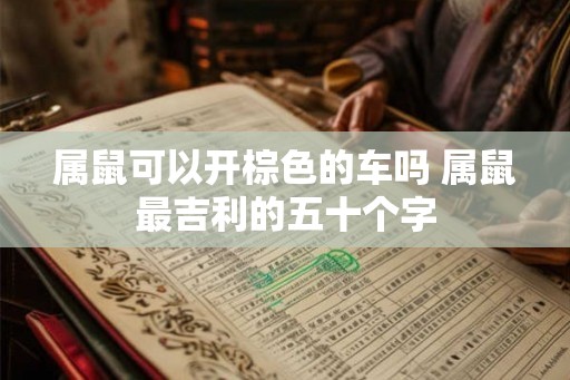 属鼠可以开棕色的车吗 属鼠最吉利的五十个字