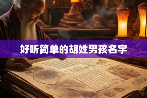 好听简单的胡姓男孩名字